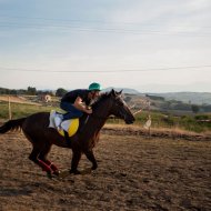 Concorso Fotografico Lefra 2015